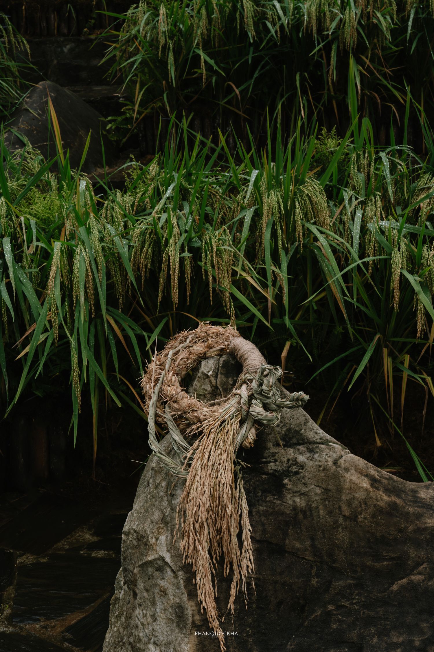 Rustic dried rice straw wreath resting on mossy rock surrounded by lush green rice plants.