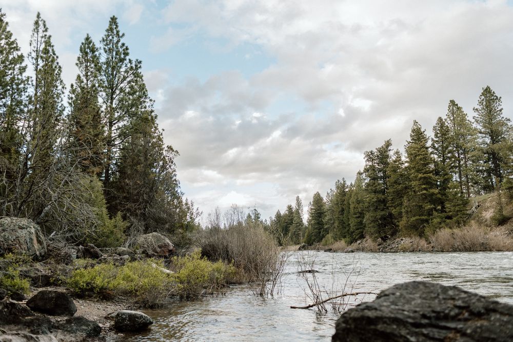 Panoramic view of a serene river landscape with evergreen trees and cloudy skies.