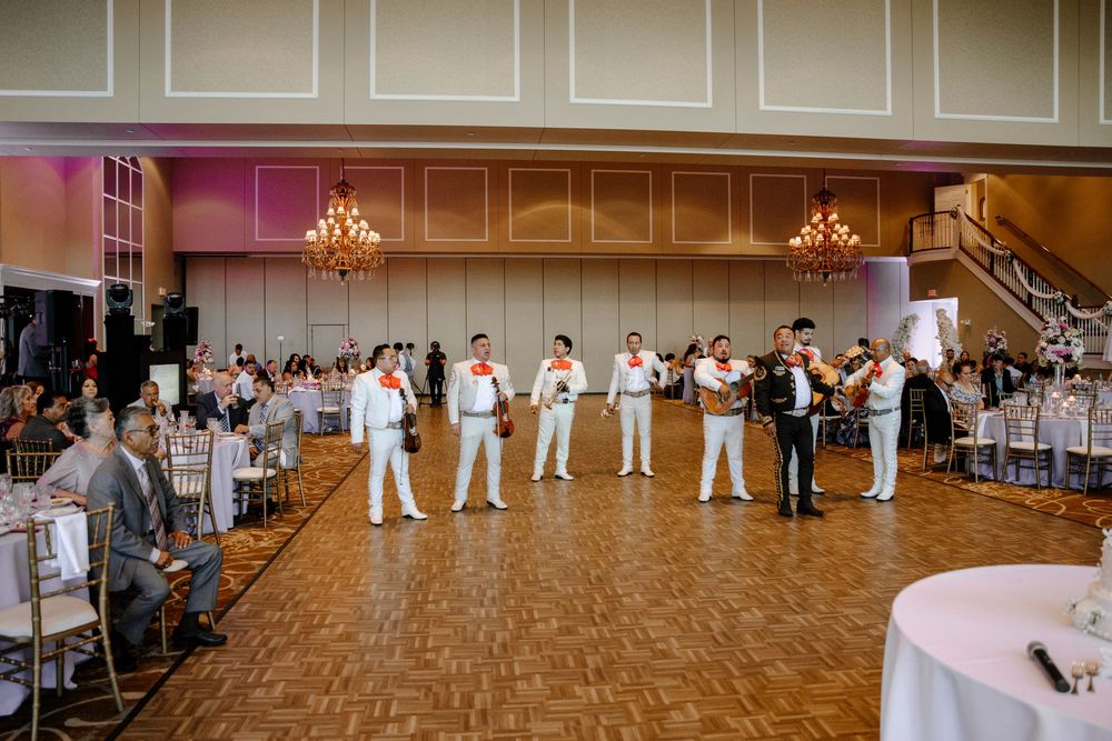 Guests perform a coordinated line dance at a wedding reception in an elegant ballroom with warm lighting.