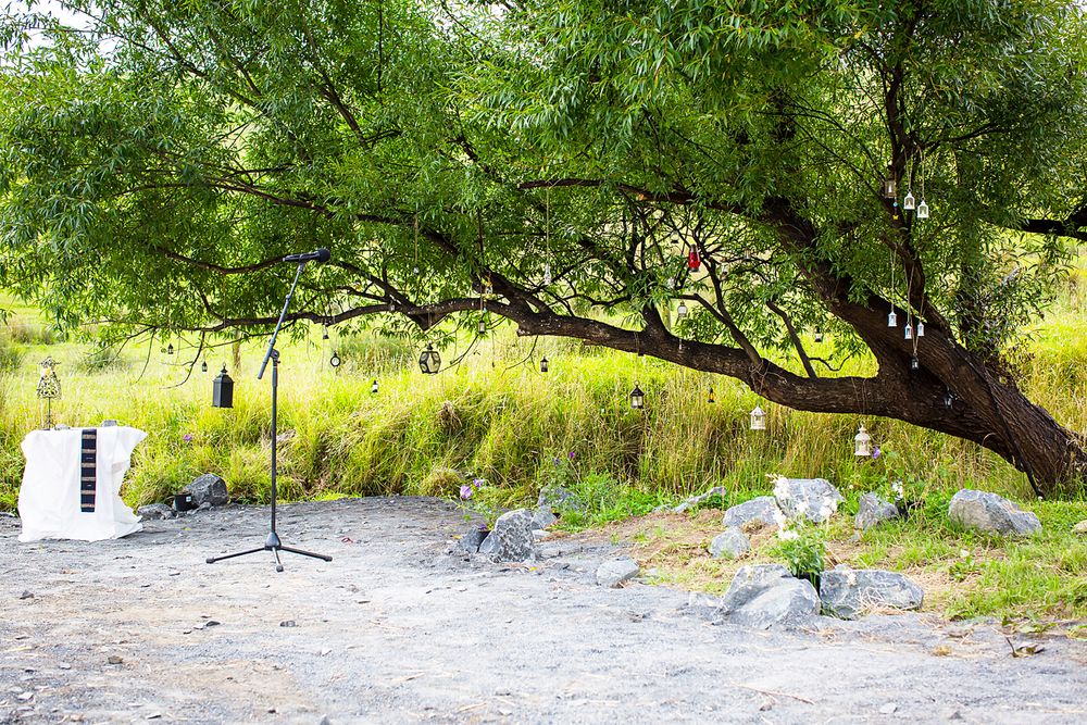 Outdoor wedding ceremony setup with white chair and music stand beneath a sprawling tree in a natural setting.