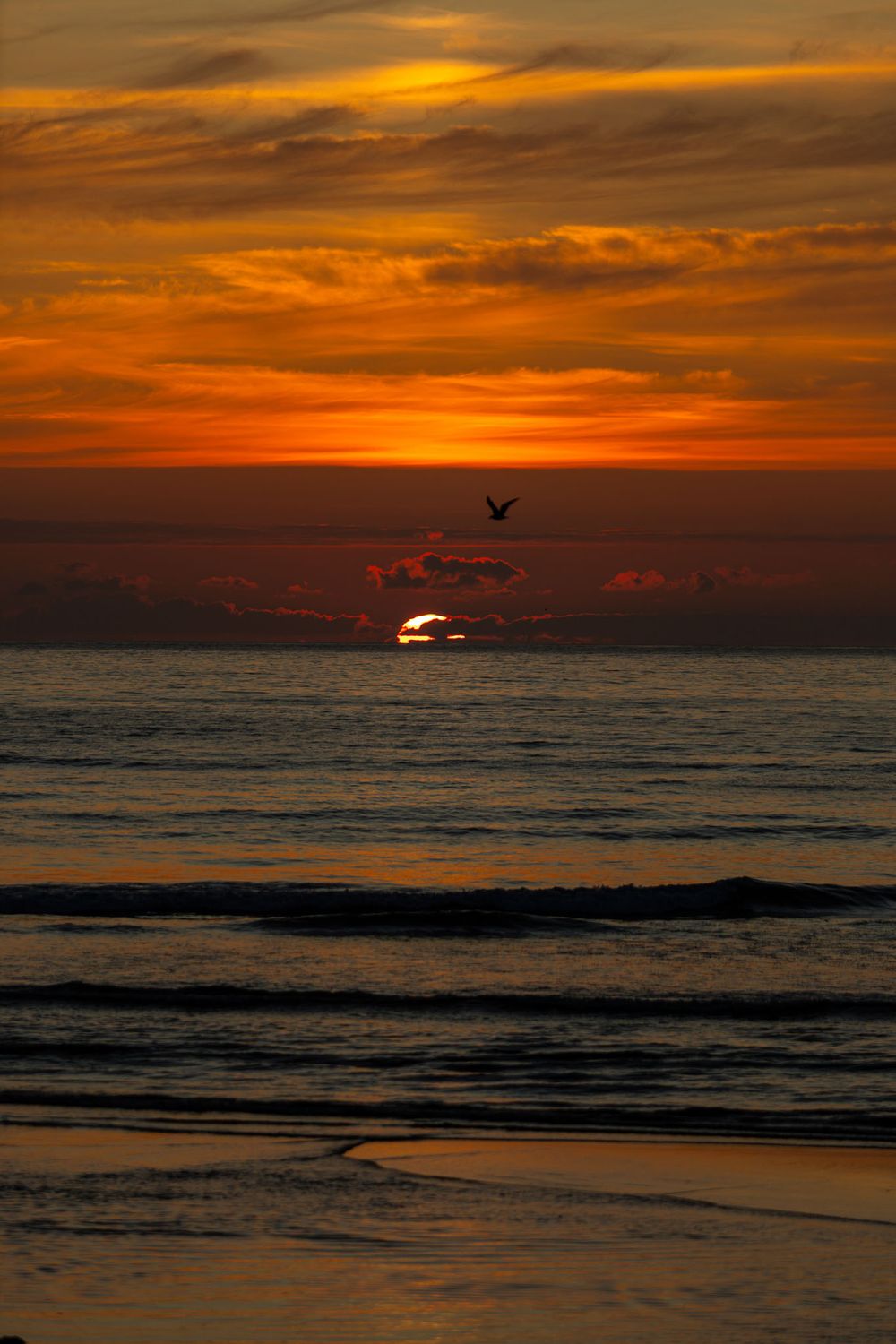 Dramatic orange sunset over ocean waves with bird silhouette against glowing sky.