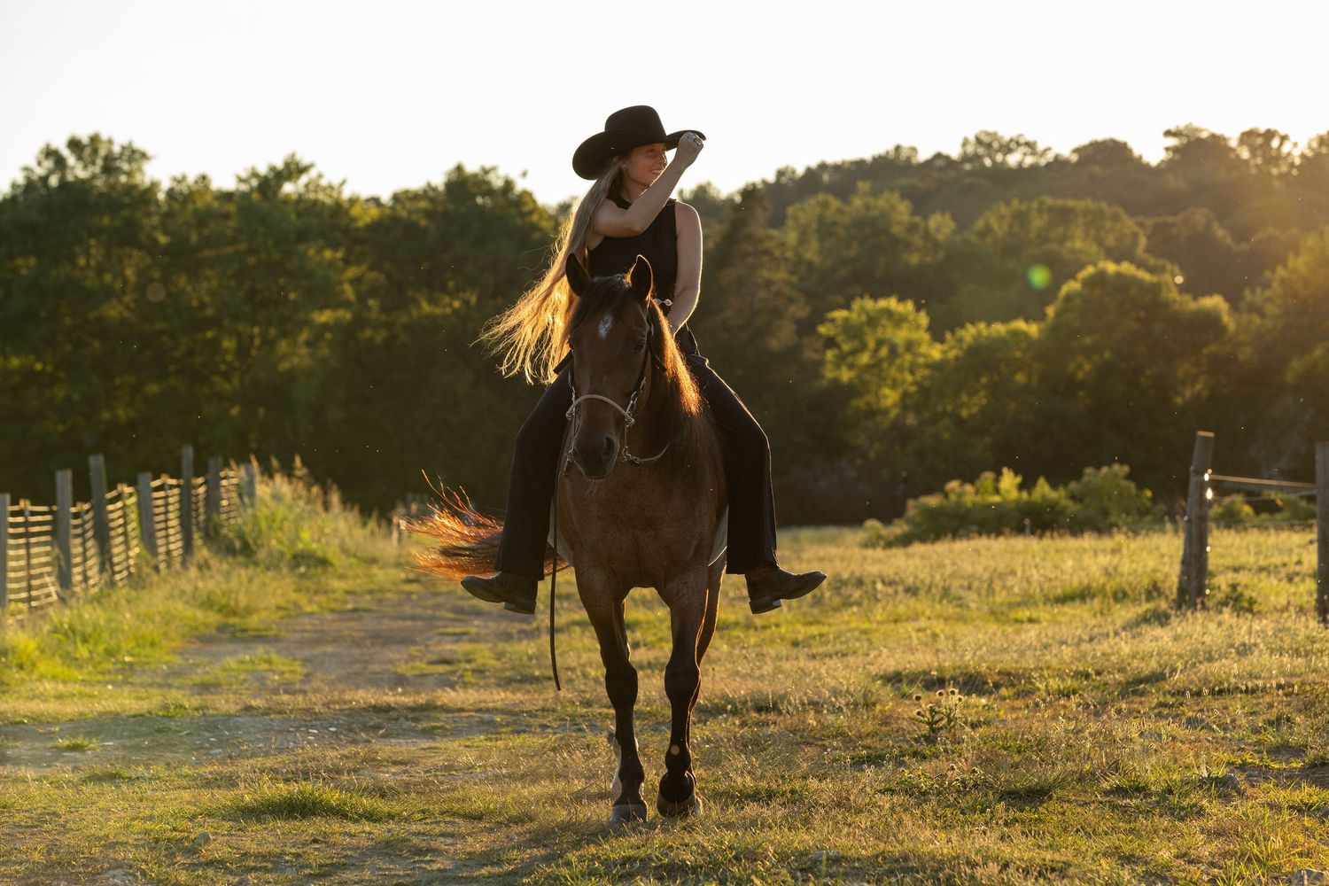 A rider and horse silhouetted against golden sunset light while walking through a grassy field.