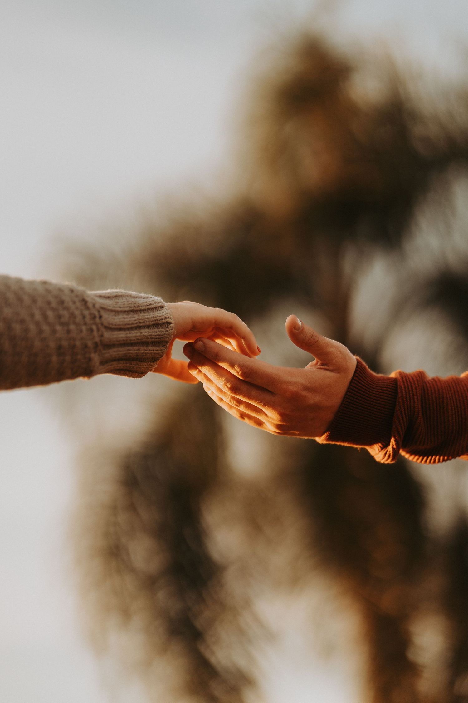 Two hands reach toward each other during sunset golden hour photoshoot.