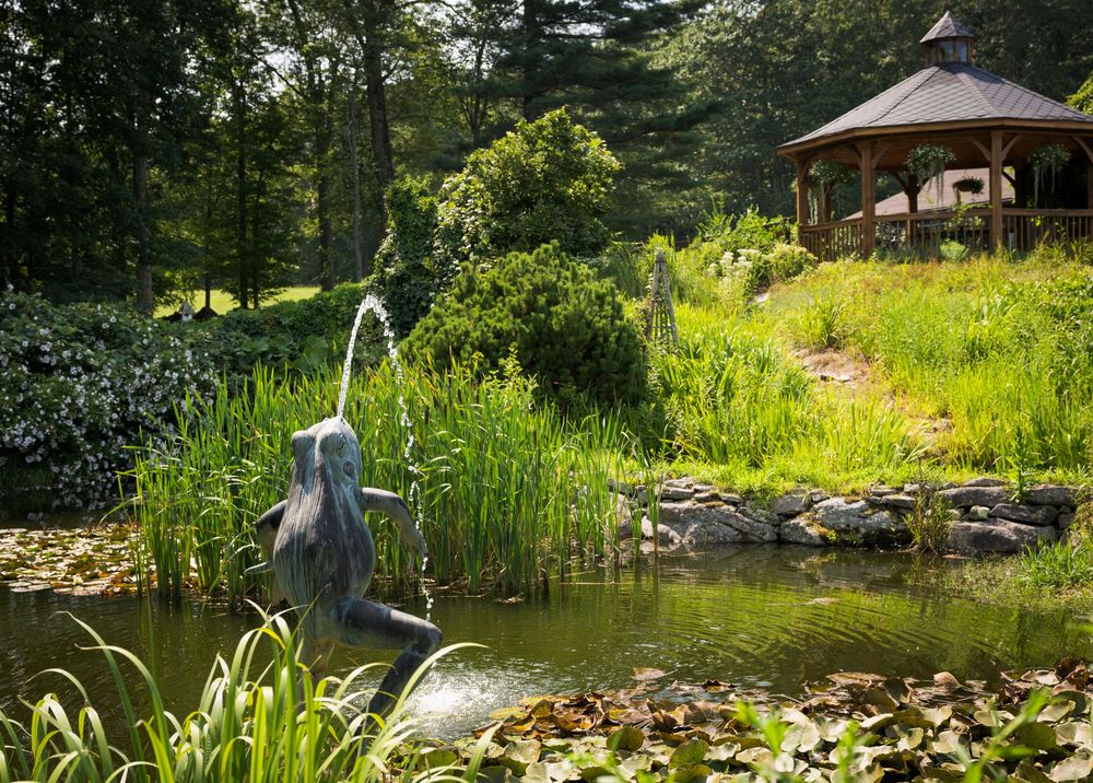 Tranquil pond landscape with lily pads, tall grasses, and a heron statue amidst lush summer greenery.