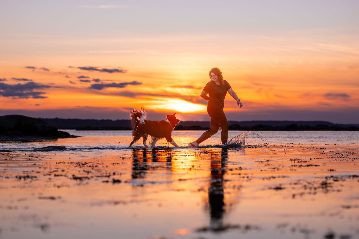 A person sitting with a large dog, petting it, in a dramatic sunset scene.