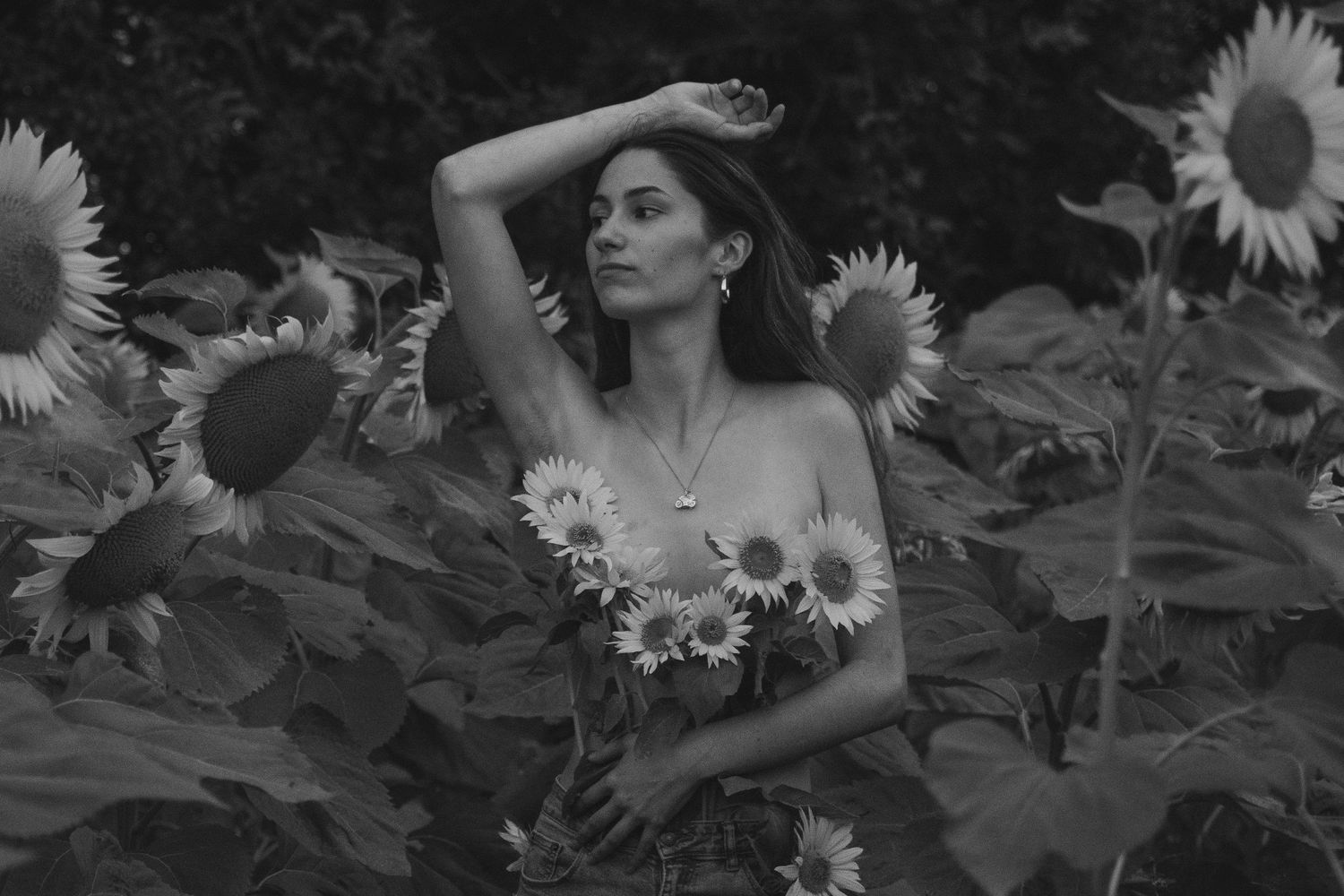 Séance photo portrait dans champs de tournesols