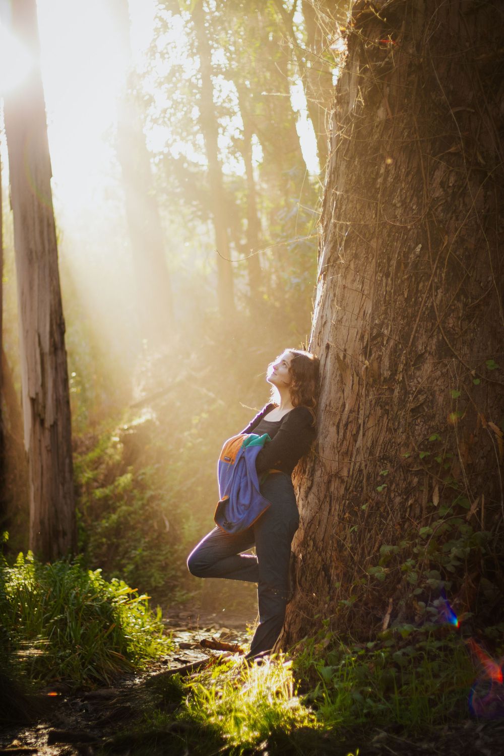 Silhouette doing yoga pose against large tree trunk in golden sunlit forest.