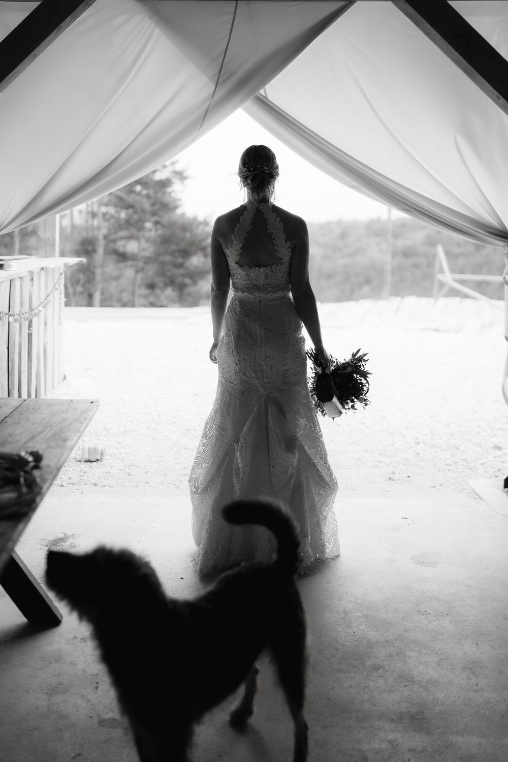 Silhouette of a bride in wedding dress standing under tent with dog in foreground.