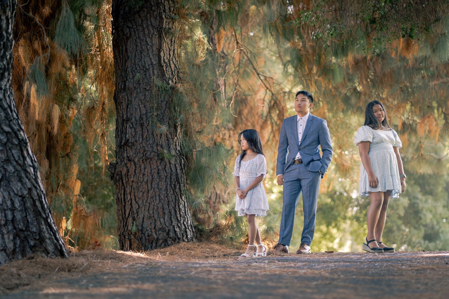 A group enjoys a peaceful walk through a wooded area with tall trees and dappled sunlight on an autumn day.