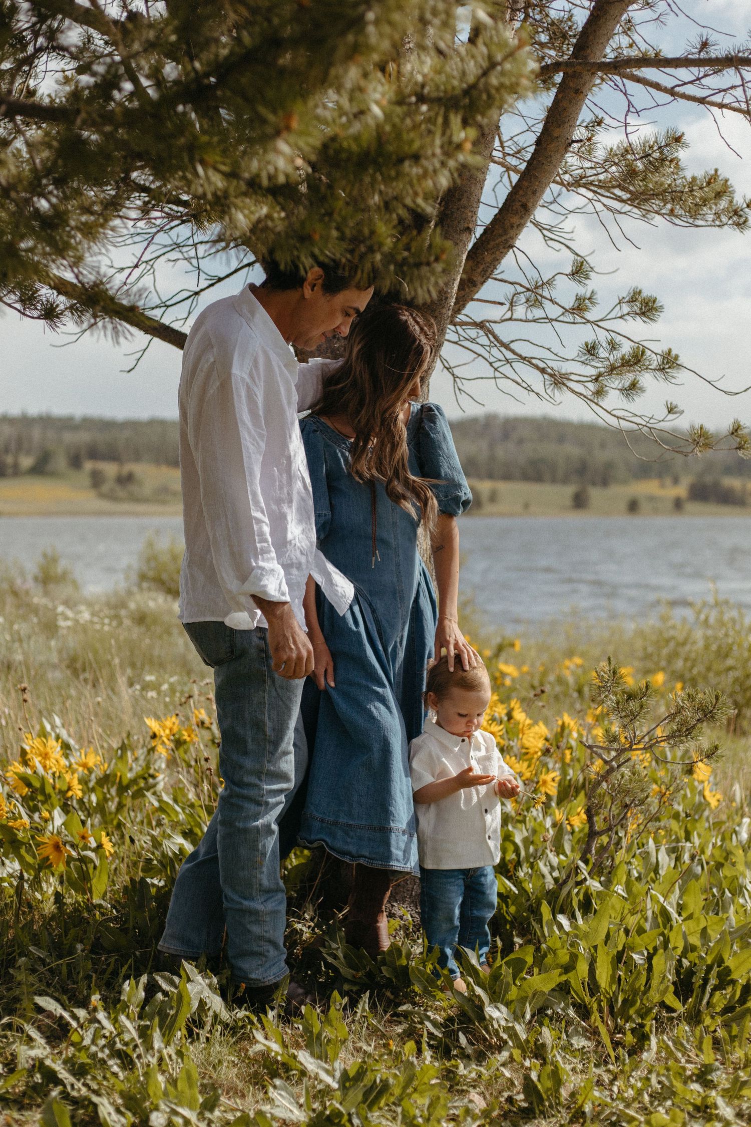 Family walking through a field of yellow wildflowers under pine trees near a lake.