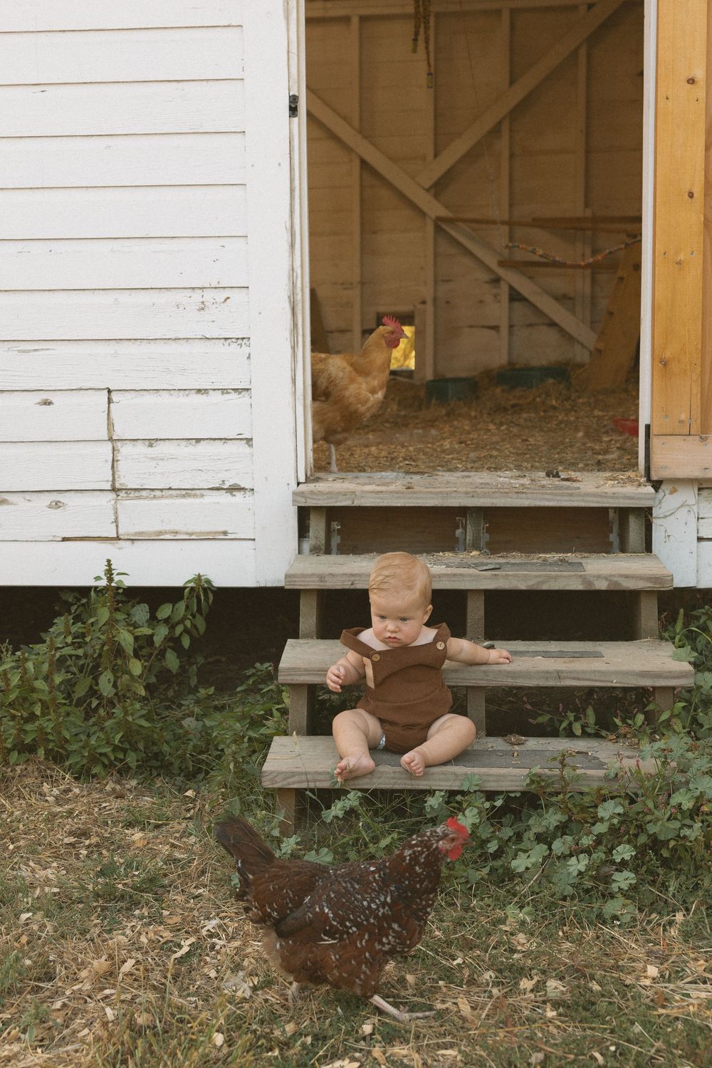 A rustic farmhouse scene with chickens near wooden steps and a barn door entrance.