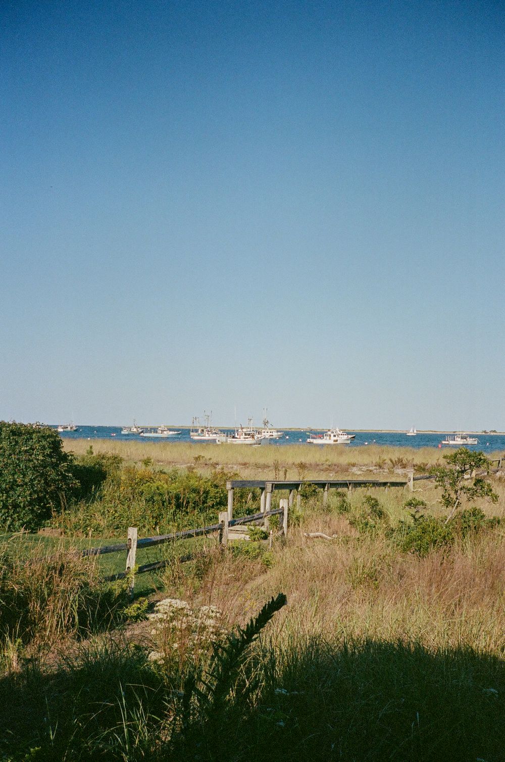Panoramic view of coastal houses on the horizon with tall grass and wooden fencing in the foreground.