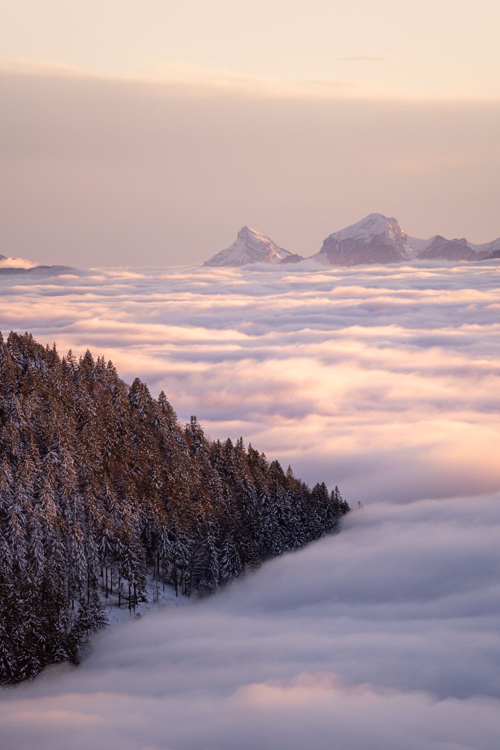 Coucher de soleil sur la Chartreuse depuis le Mont-Revard avec une mer de nuages et de la neige en hiver
