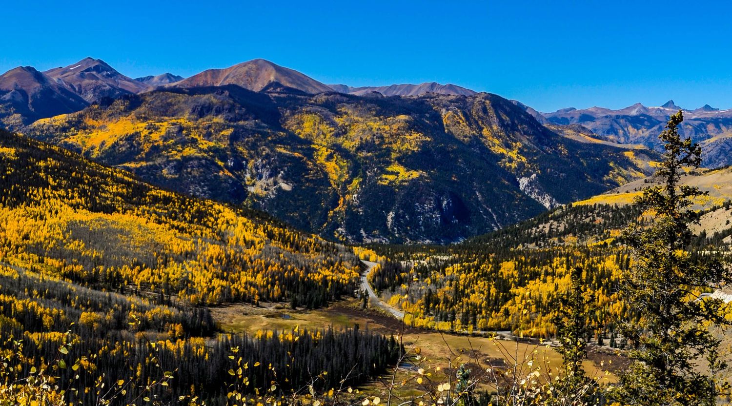 Panoramic mountain landscape with golden aspen trees and rugged peaks against bright blue sky in Colorado wilderness.
