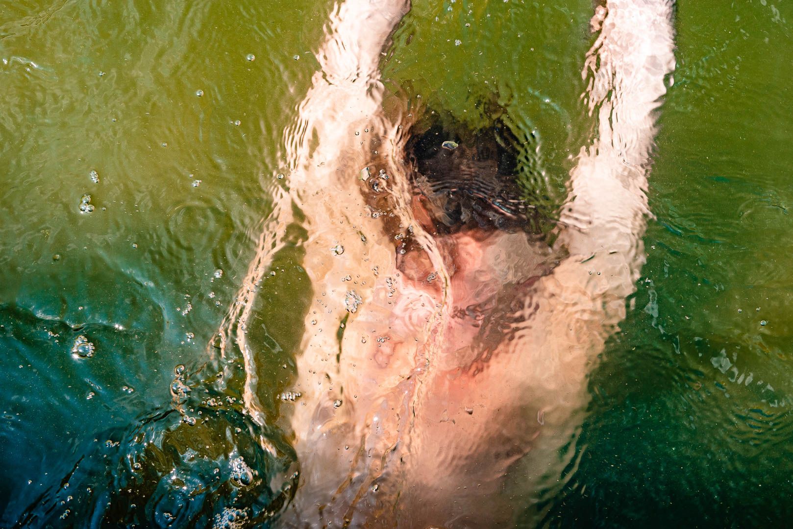 A person diving underwater in a lake with a green aquatic background captured with distorted effects.