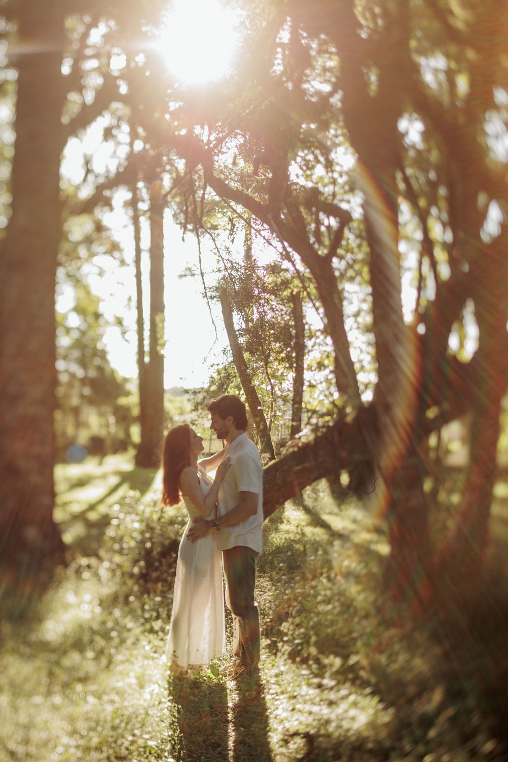 Romantic forest engagement photo with sunlight streaming through trees.