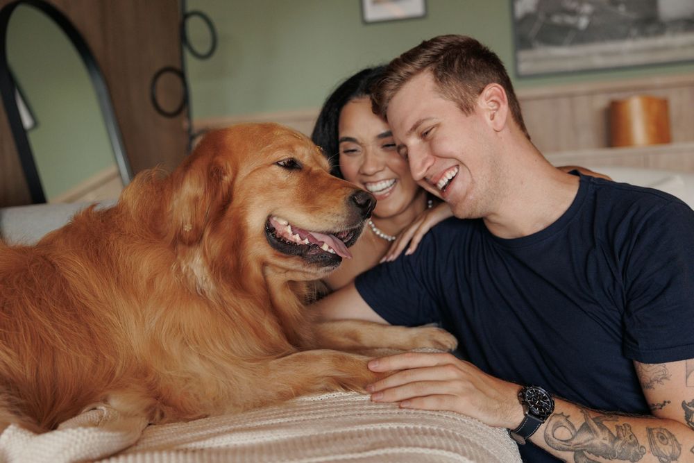 A golden retriever shares affectionate moments with people on a couch in a series of connected photos.