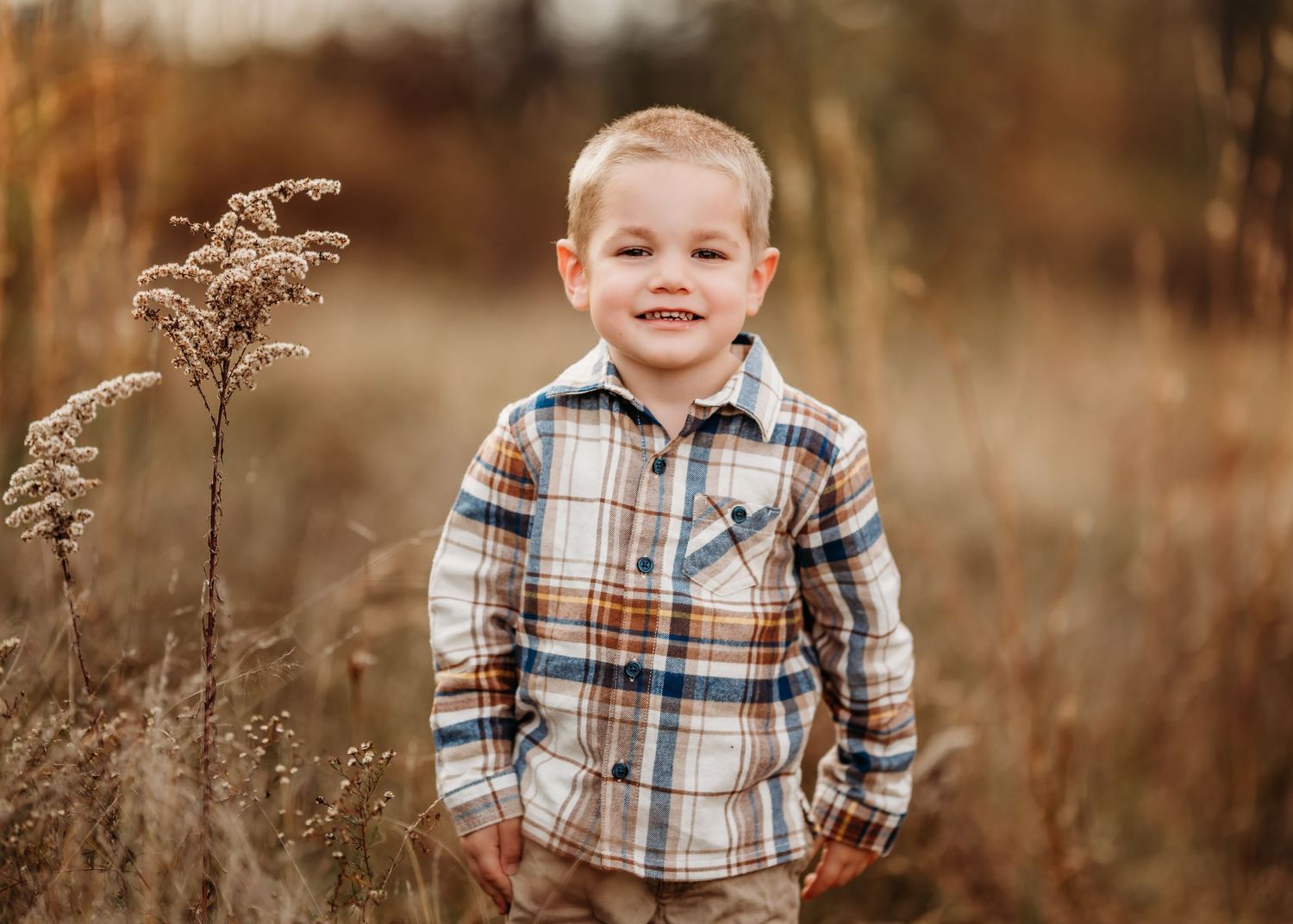 A child wearing a plaid flannel shirt stands in a field of tall dry grass during golden hour.