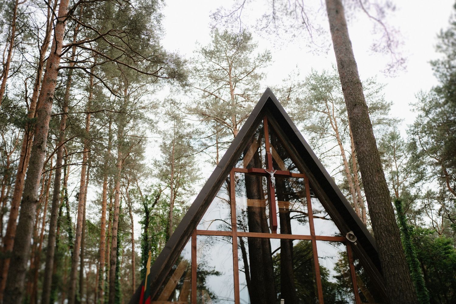 Pine trees frame the peaked roofline of a rustic wooden chapel.