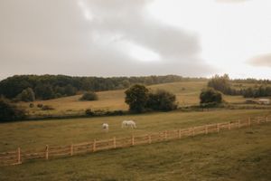 A pastoral landscape with wooden fencing and rolling hills under an overcast sky.