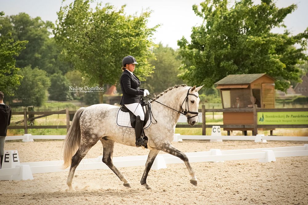 Equestrian dressage sequence showing horse and rider executing precise movements.
