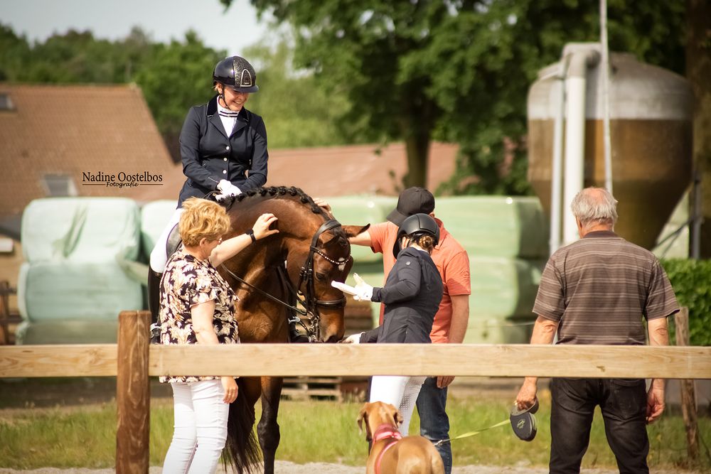Horse training session at an outdoor equestrian facility.