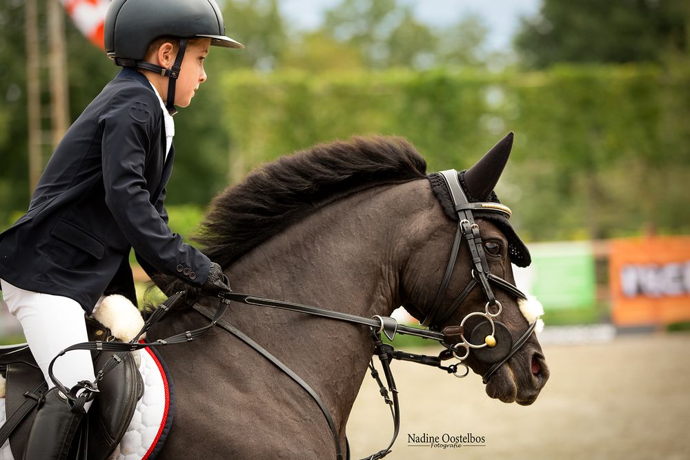 Equestrian rider in black jacket and helmet riding a dark brown horse during competition.