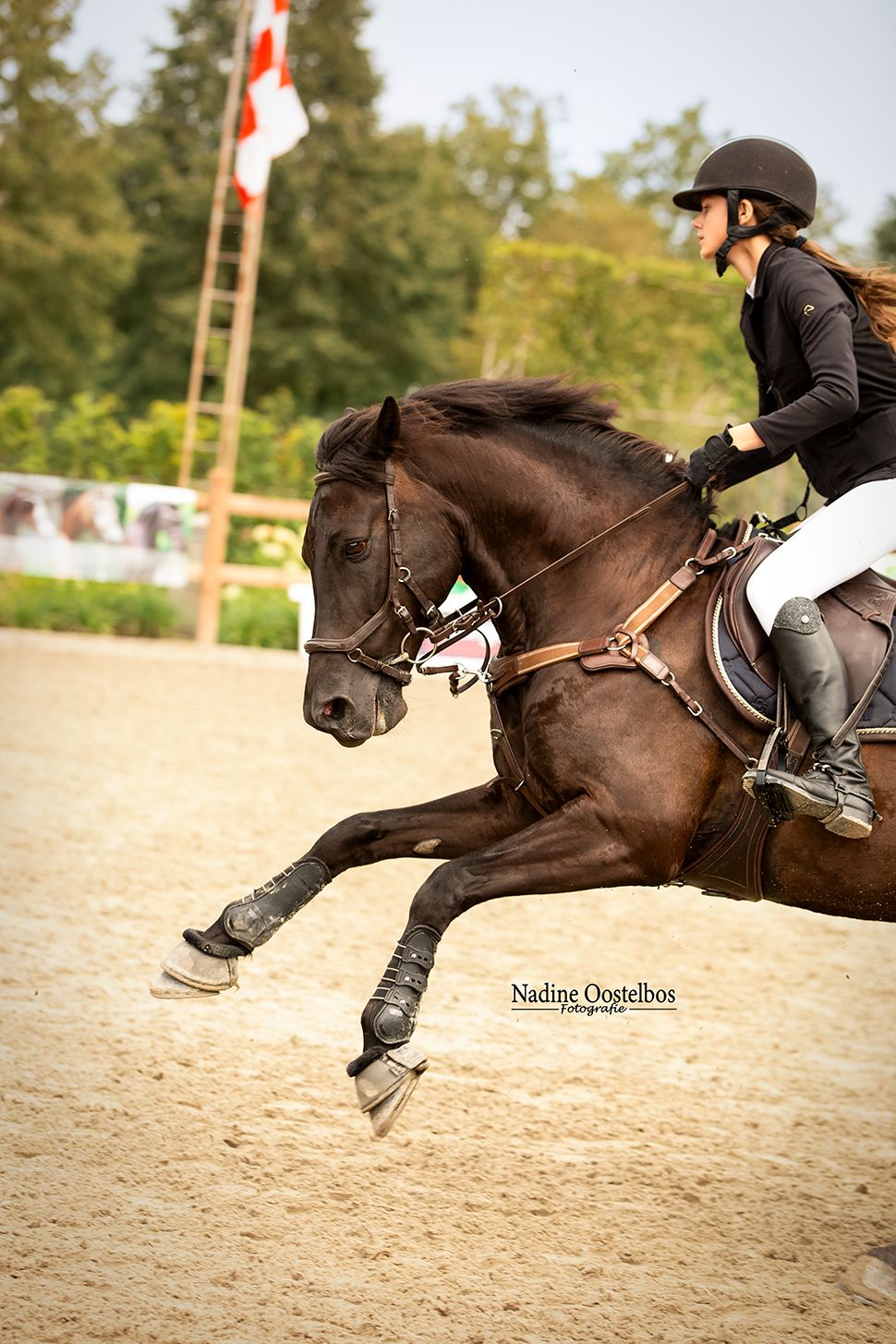 Dark brown horse and rider in motion during equestrian competition on sandy arena.