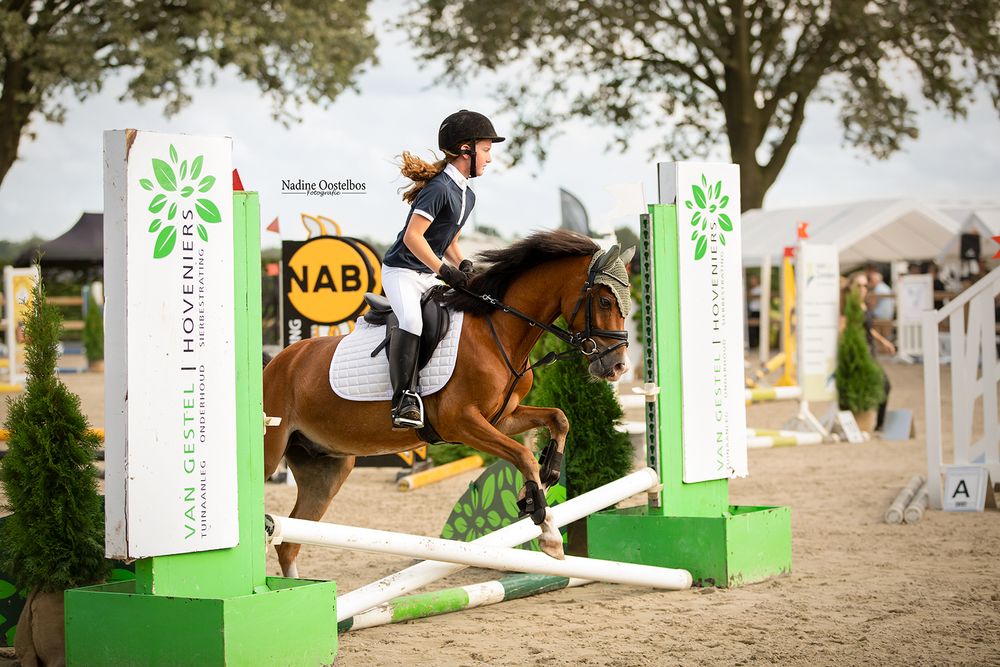 Horse and rider clearing jump between green sponsorship markers during equestrian event.