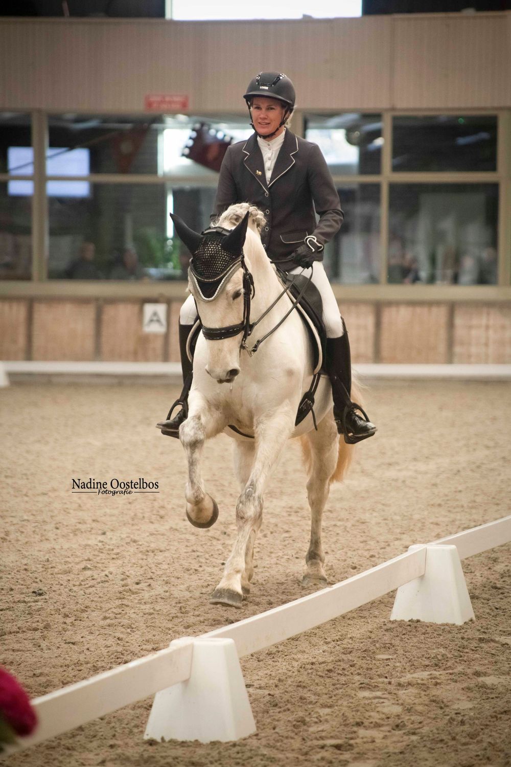 Horse and rider performing over cavaletti poles in an indoor riding arena.