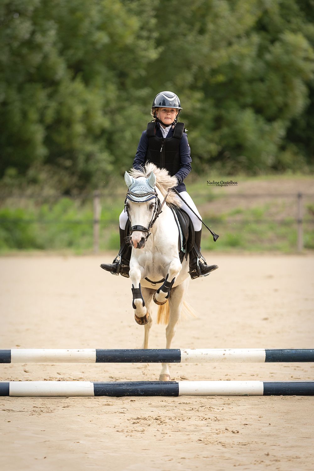 Paardenfotografie - Nadine Oostelbos Fotografie