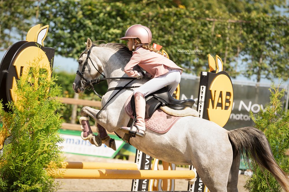 A white horse and rider clearing a jump during an outdoor equestrian competition.