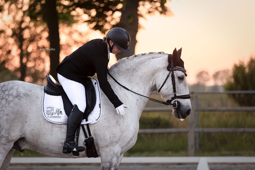 Paardenfotografie - Nadine Oostelbos Fotografie