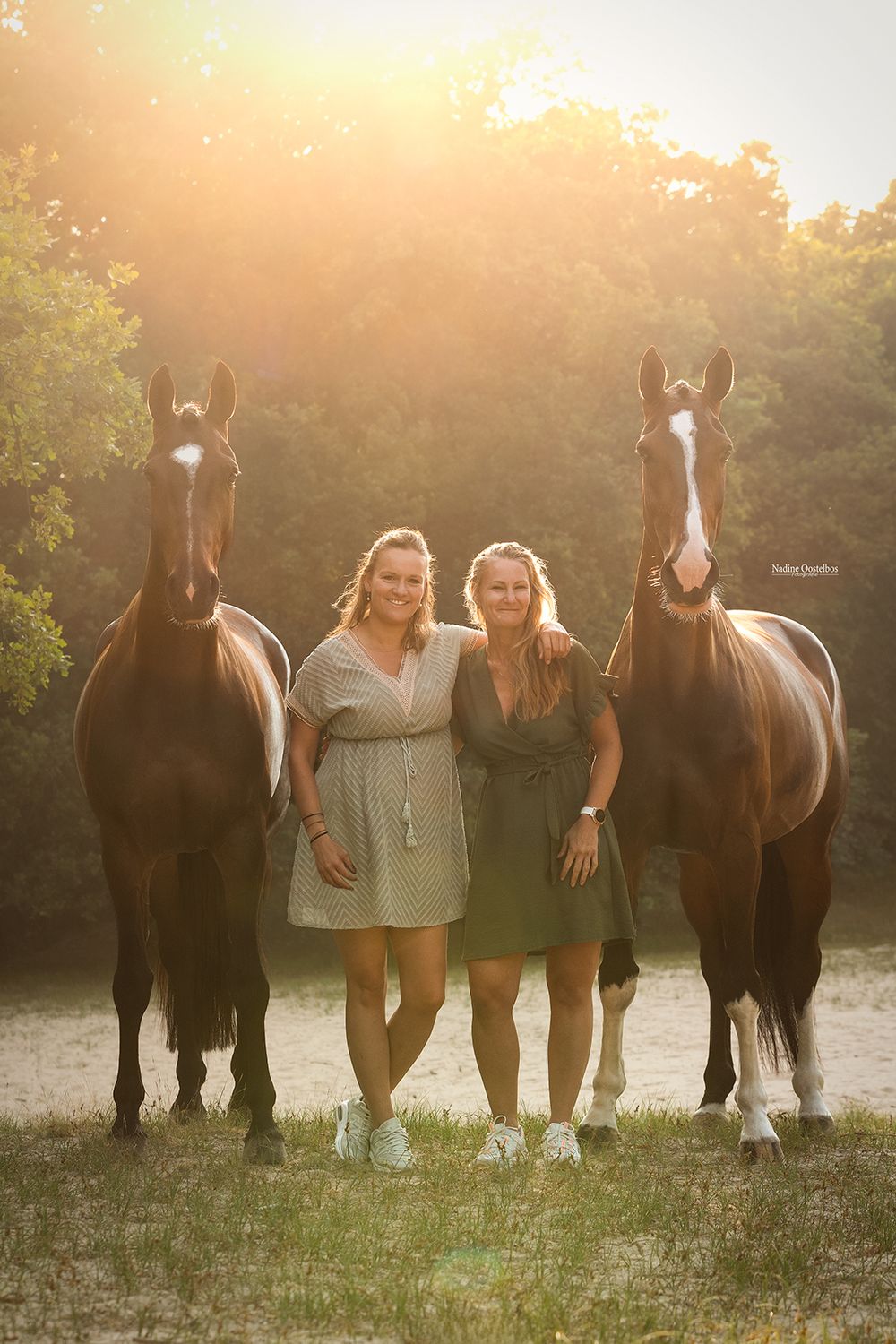 Paardenfotografie - Nadine Oostelbos Fotografie