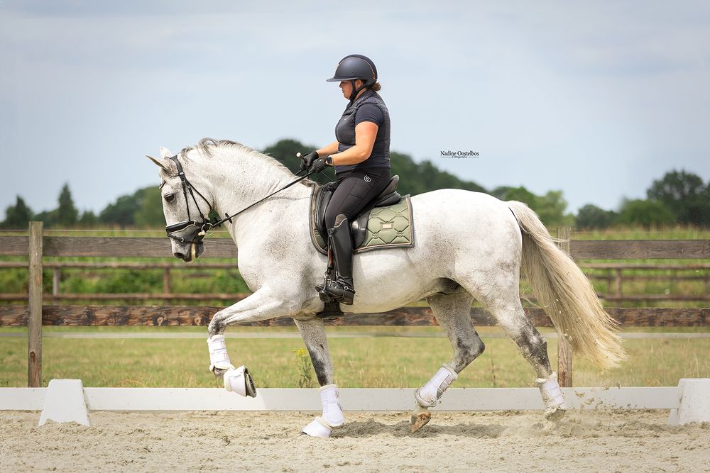Paardenfotografie - Nadine Oostelbos Fotografie