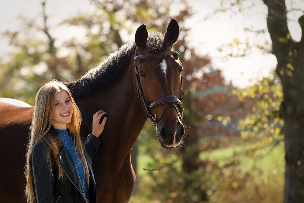 Horse and rider enjoying a sunny autumn day in a wooded setting.