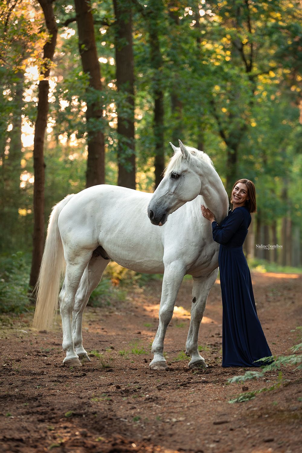 Majestic white horse standing with companion in a sunlit forest setting.