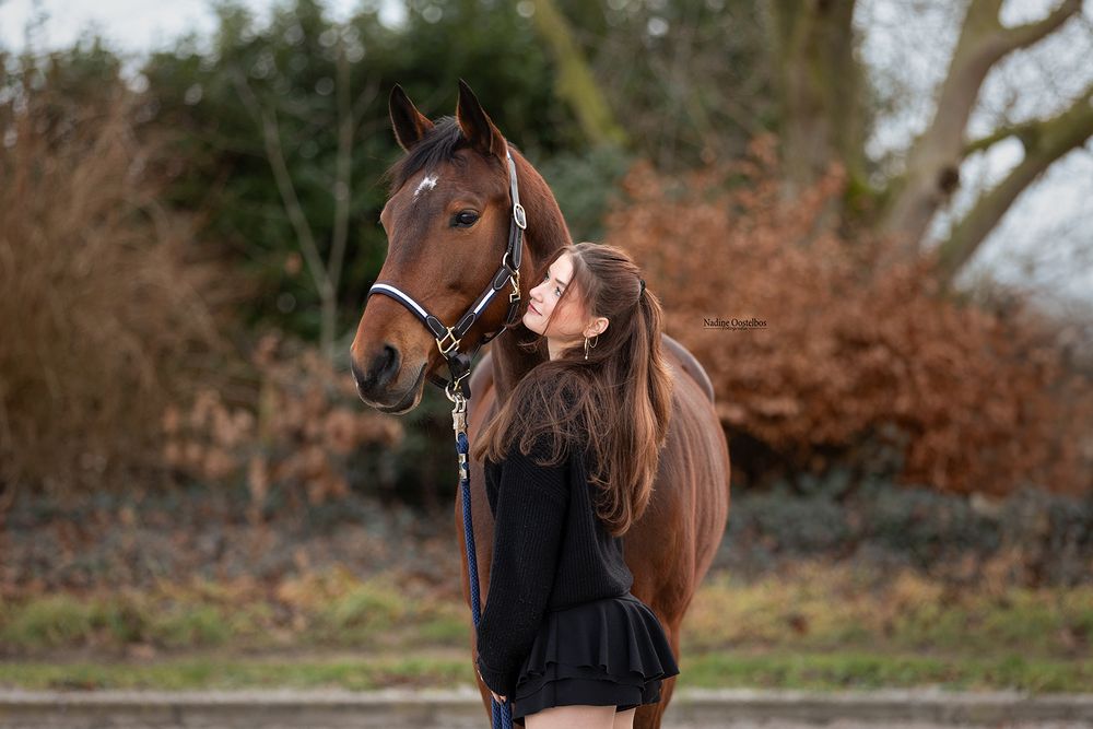 Bay horse with bridle being affectionately greeted in an outdoor setting.