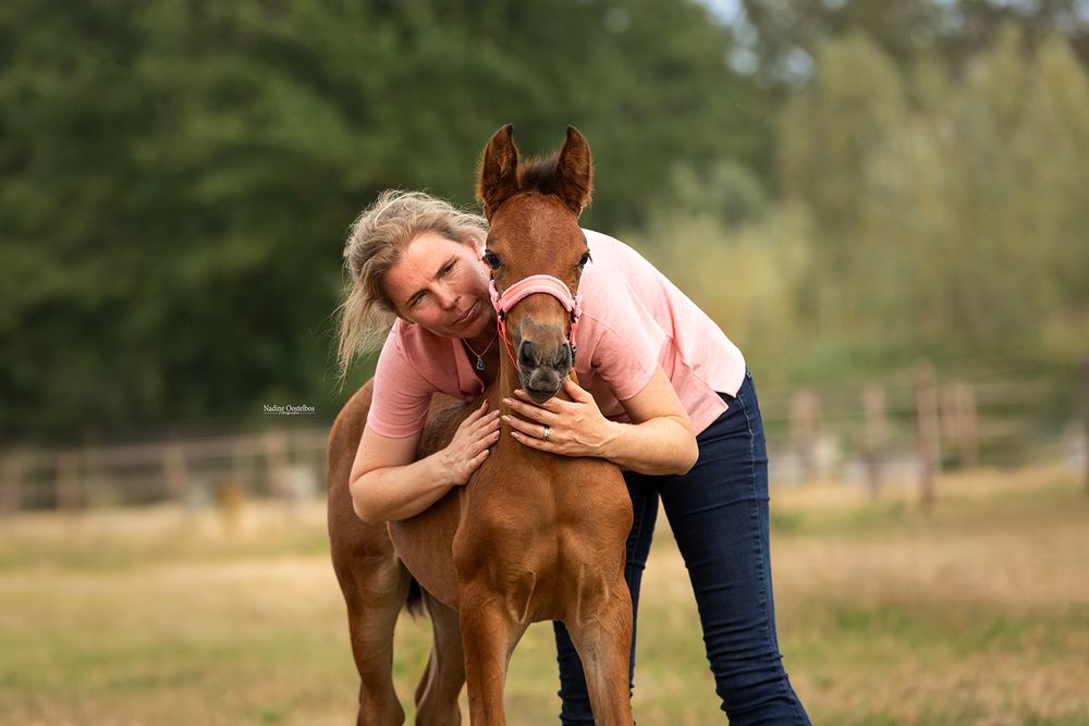 Paardenfotografie - Nadine Oostelbos Fotografie