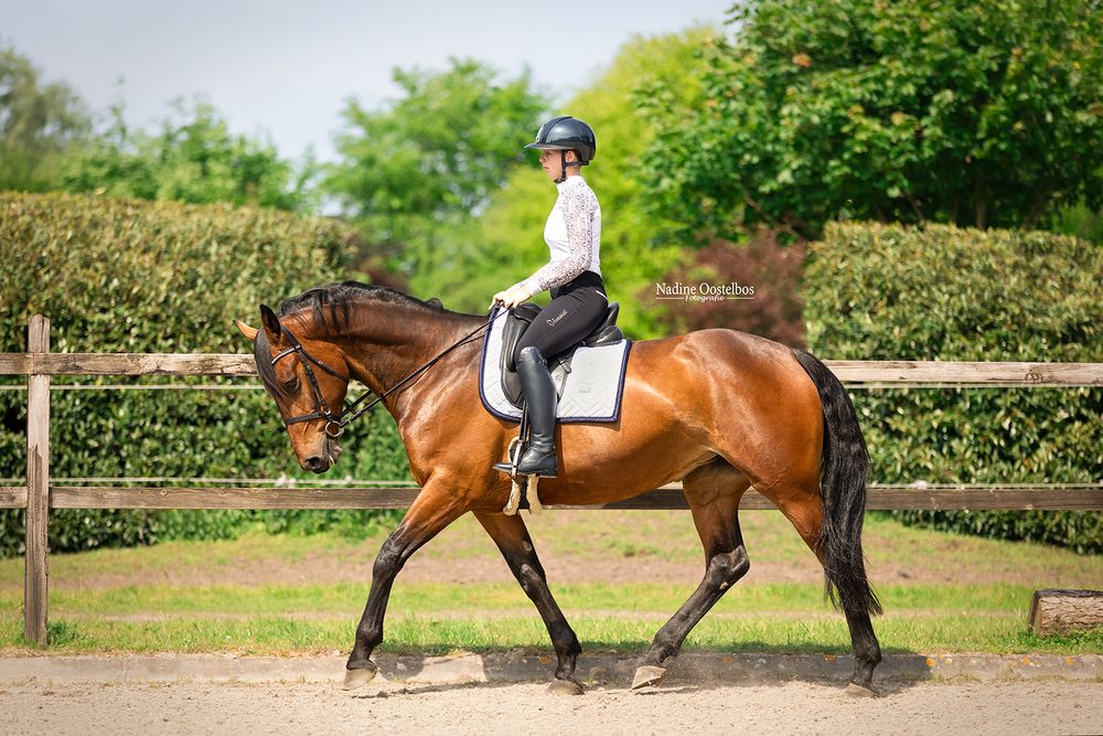 Chestnut horse and rider performing dressage movements in an outdoor arena.