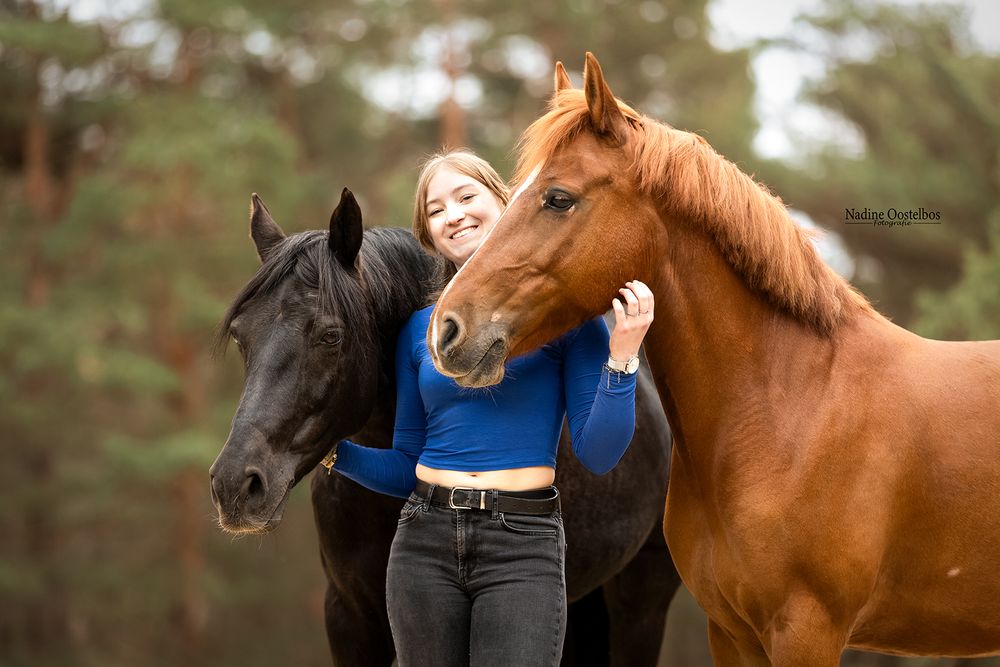Brown horse and companion sharing tender moments in an autumn field.