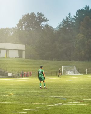 Soccer goalkeeper in green jersey stands ready on sunlit field with goal in background.