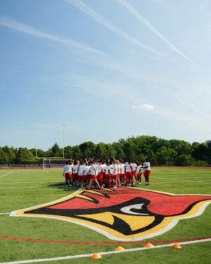 Football team gathers on field with large cardinal logo in foreground.