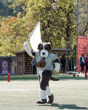 School mascot in brown furry costume with white shirt strikes energetic pose on outdoor field.