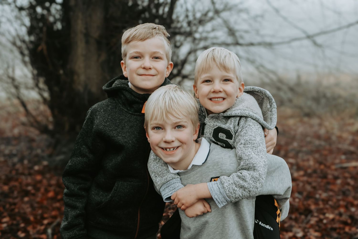A series of six autumn family photos taken outdoors with fallen leaves and bare trees in the background.