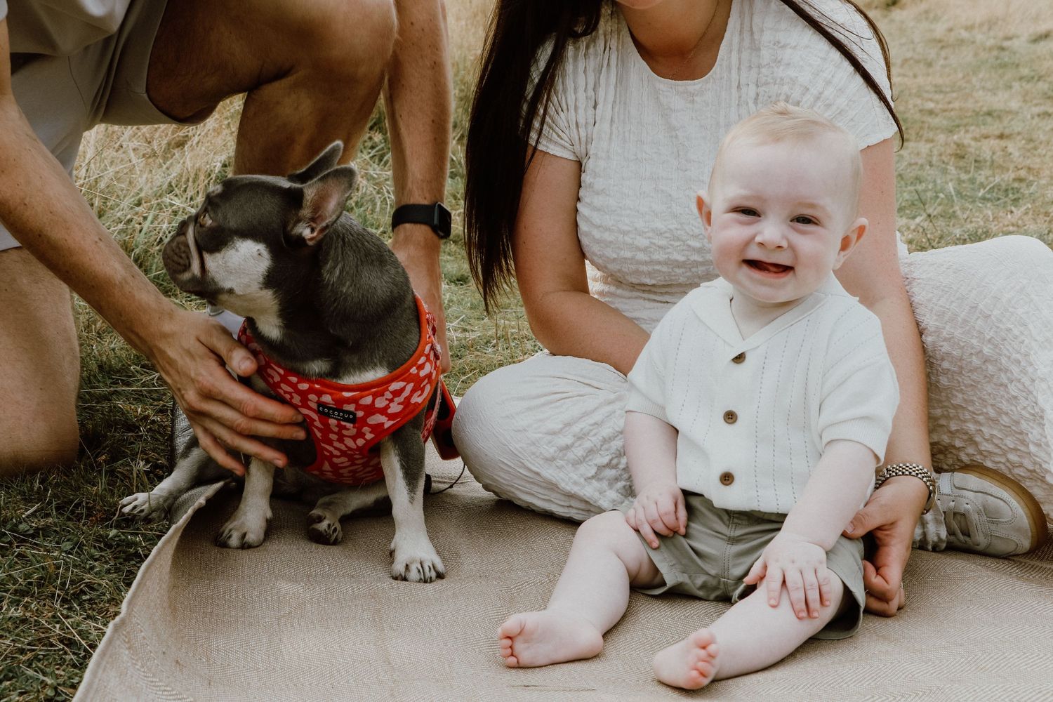 A Boston Terrier in a red bandana sits with its family on a concrete path outdoors.