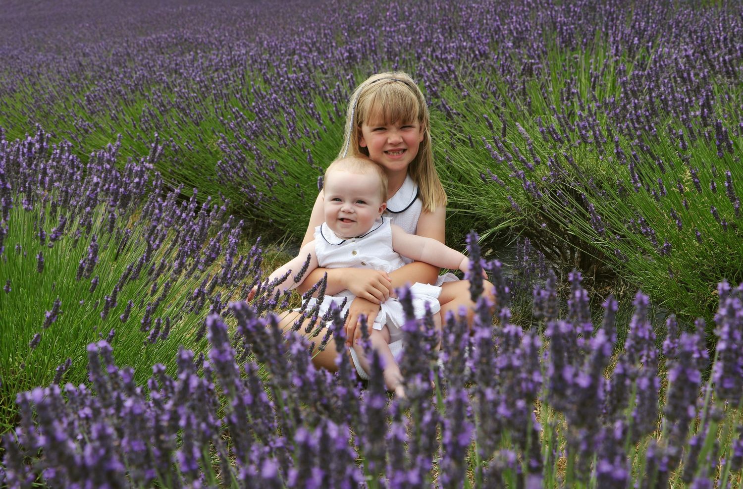 Two people sitting together in a beautiful blooming purple lavender field on a summer day.