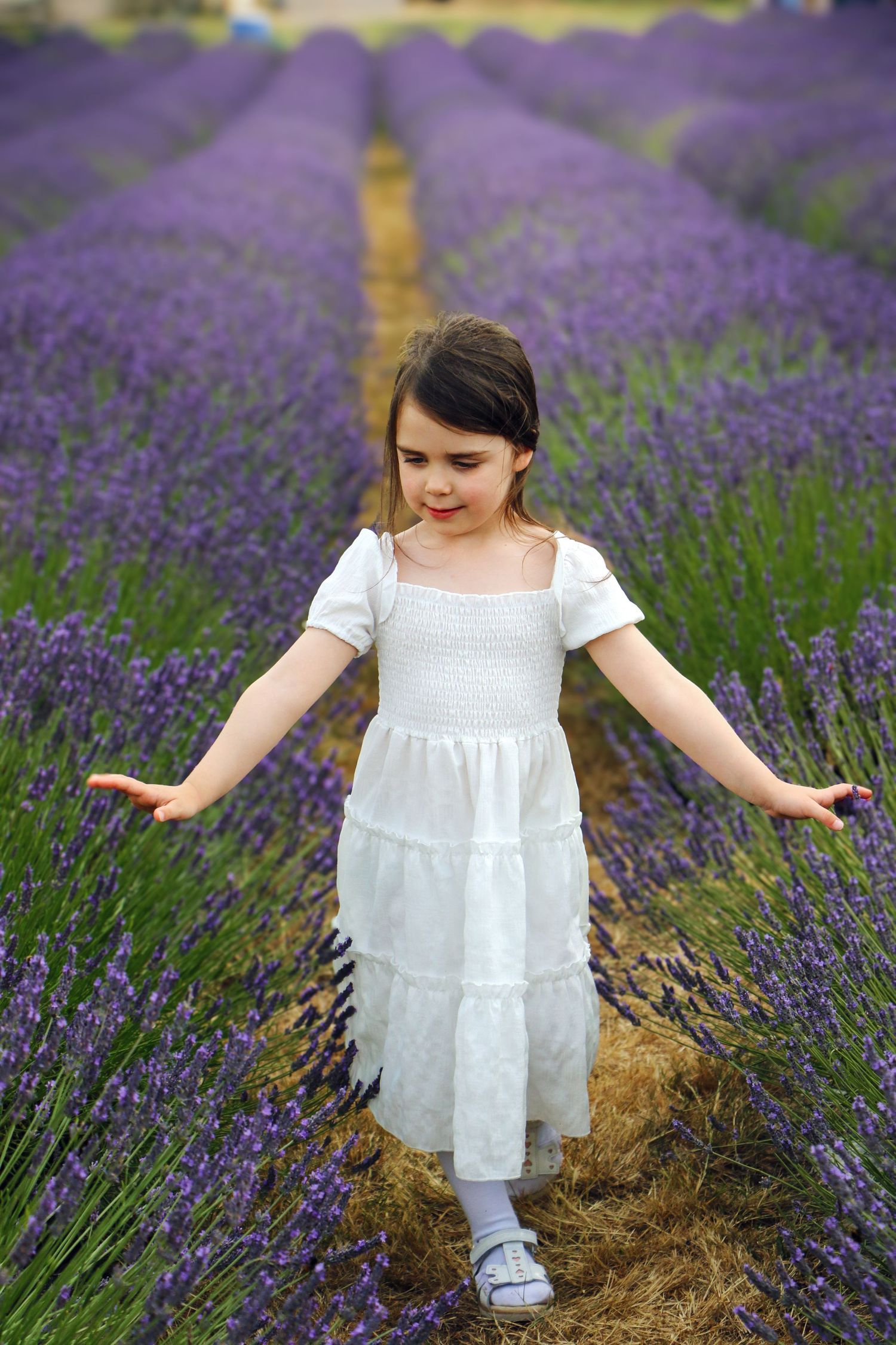 A white dress flows gracefully through rows of blooming purple lavender fields on a summer day.