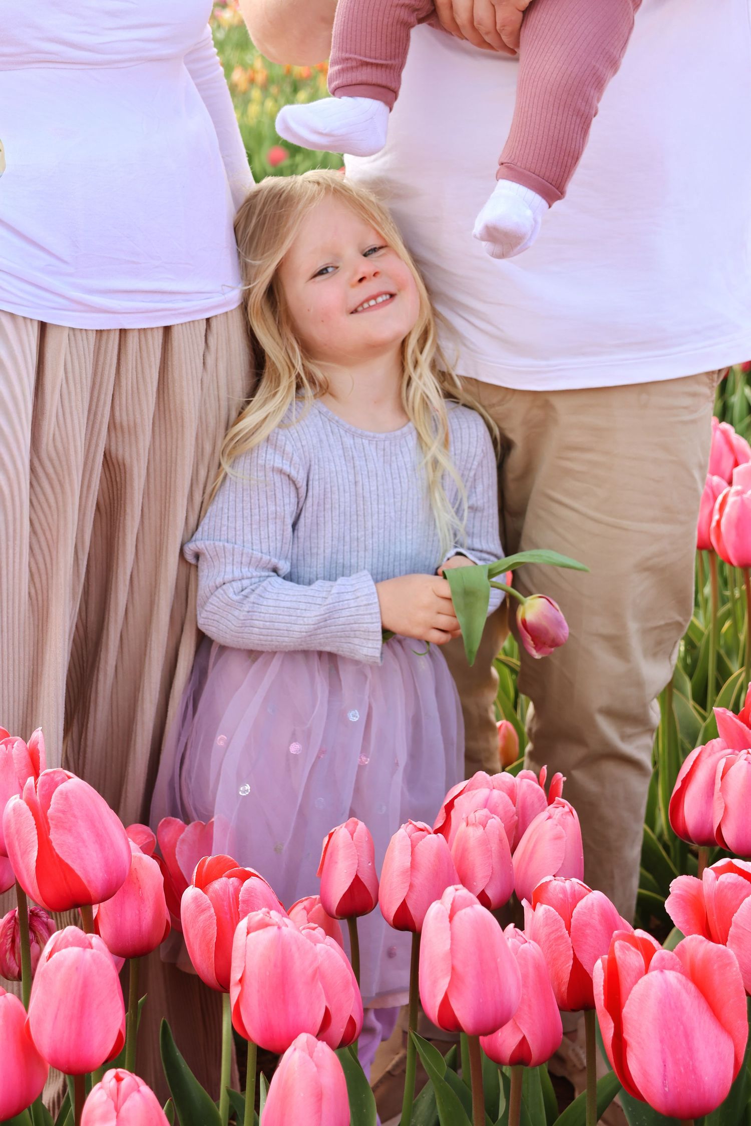 A smiling blonde girl in blue top and purple skirt holds a tulip, standing among pink tulips between two adults.
