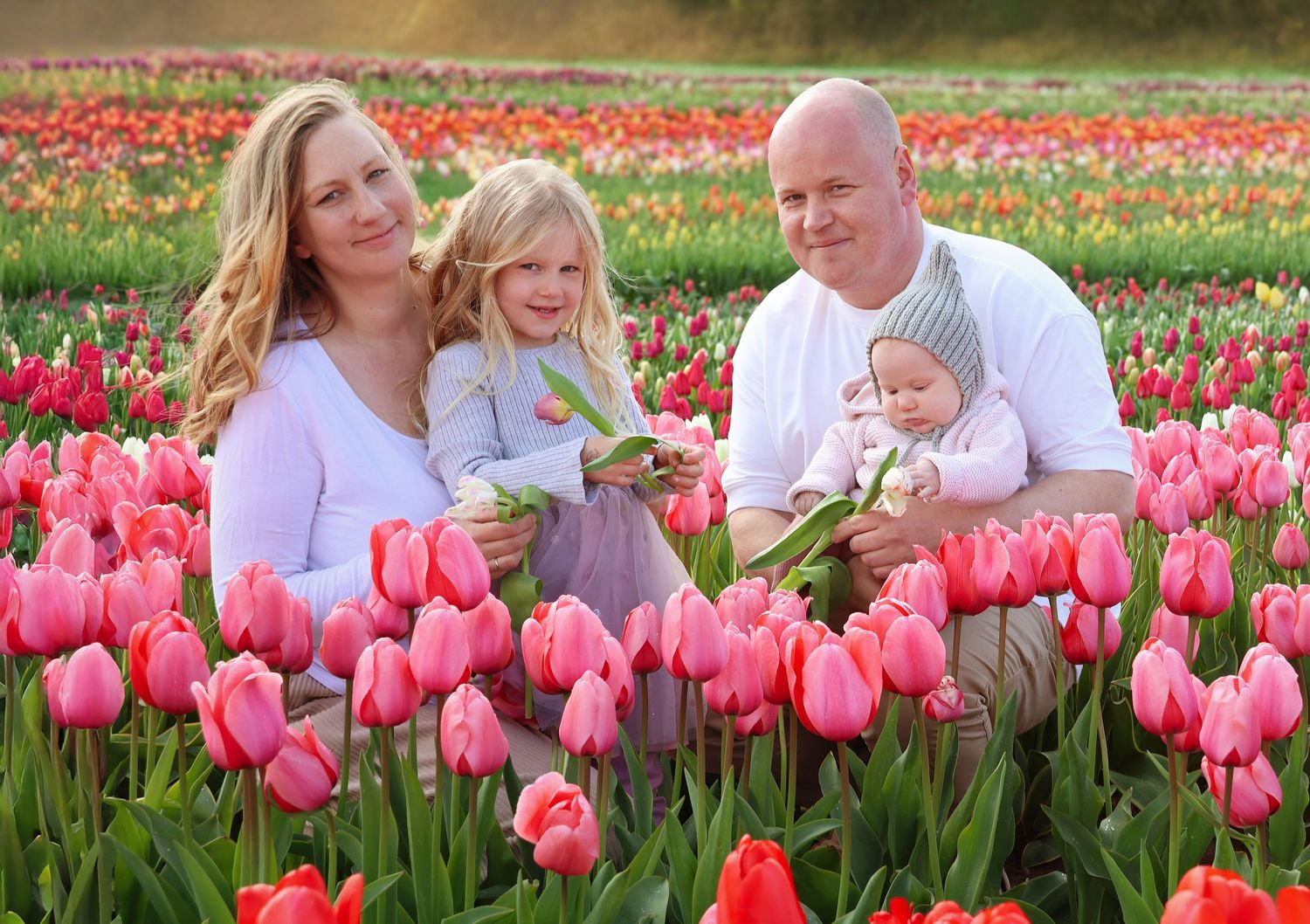 Family of four posing in a vibrant pink tulip field, mother holding toddler girl and father cradling baby in white knit hat.
